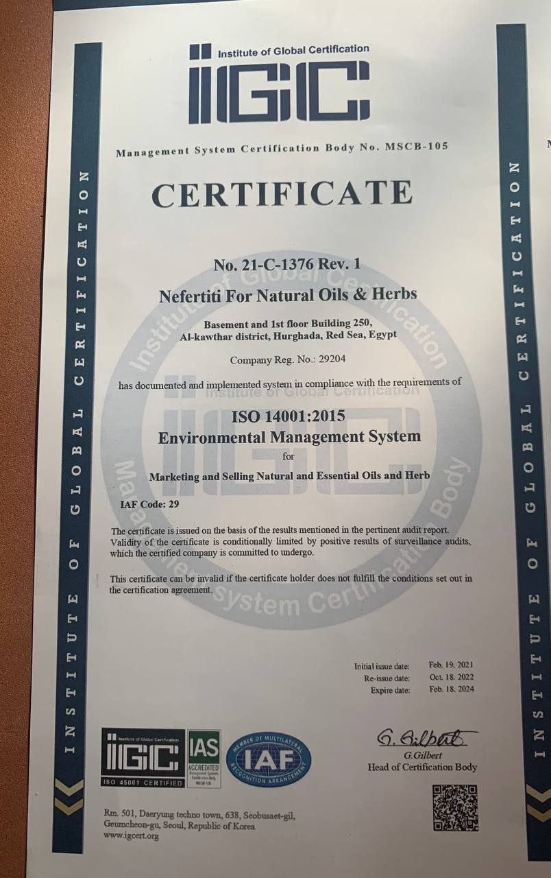 Nefertiti Нефертіті Суміш масел від зморшок Anti Wrinkle Oil - Зображення 3